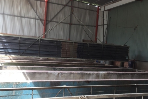 Thiết kế thi công hồ xử lý sinh học phù hợp, hiệu quả, hiện đại